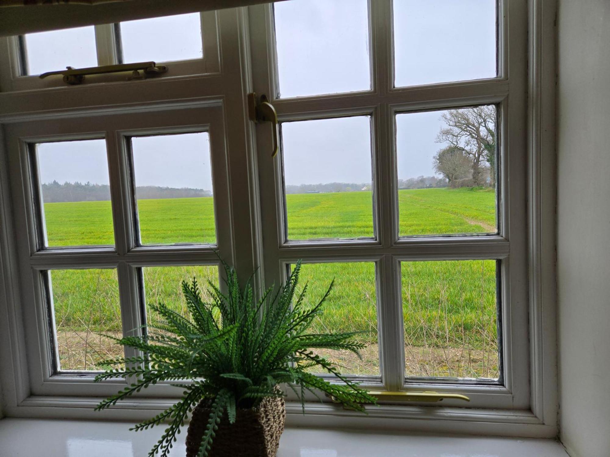 Wayside B&B Salhouse Exteriör bild